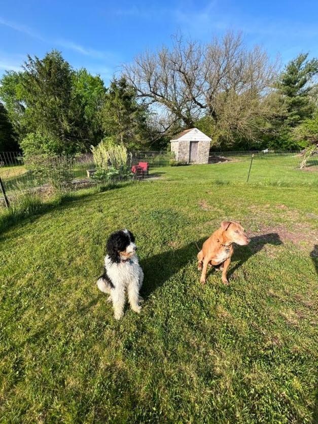 Homestead Upper Bucks - No Pet Fees Holiday home *