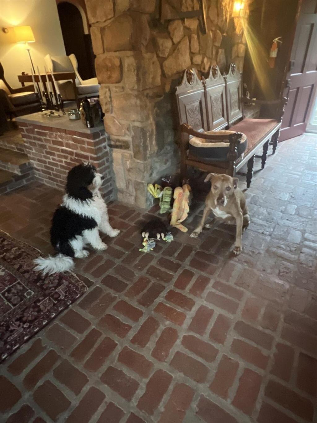 Homestead Upper Bucks - No Pet Fees *