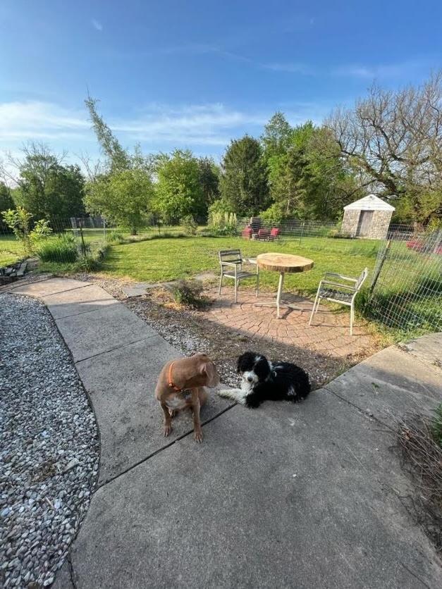 Holiday home Homestead Upper Bucks - No Pet Fees Perkasie